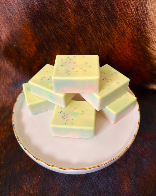 Fruit Loops Bar Soap